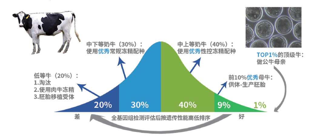 全基因組檢測評估