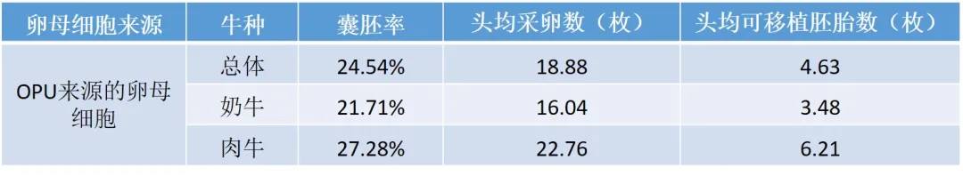 體外胚胎生產(chǎn)效率